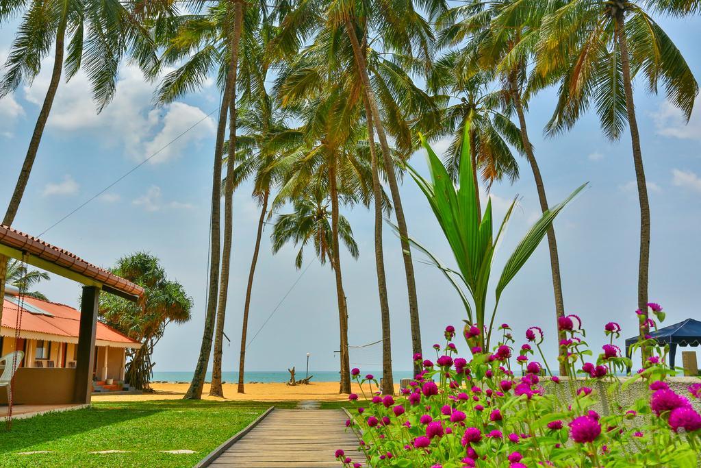 Amagi Beach - Secluded Slice Of Paradise Маравила Экстерьер фото